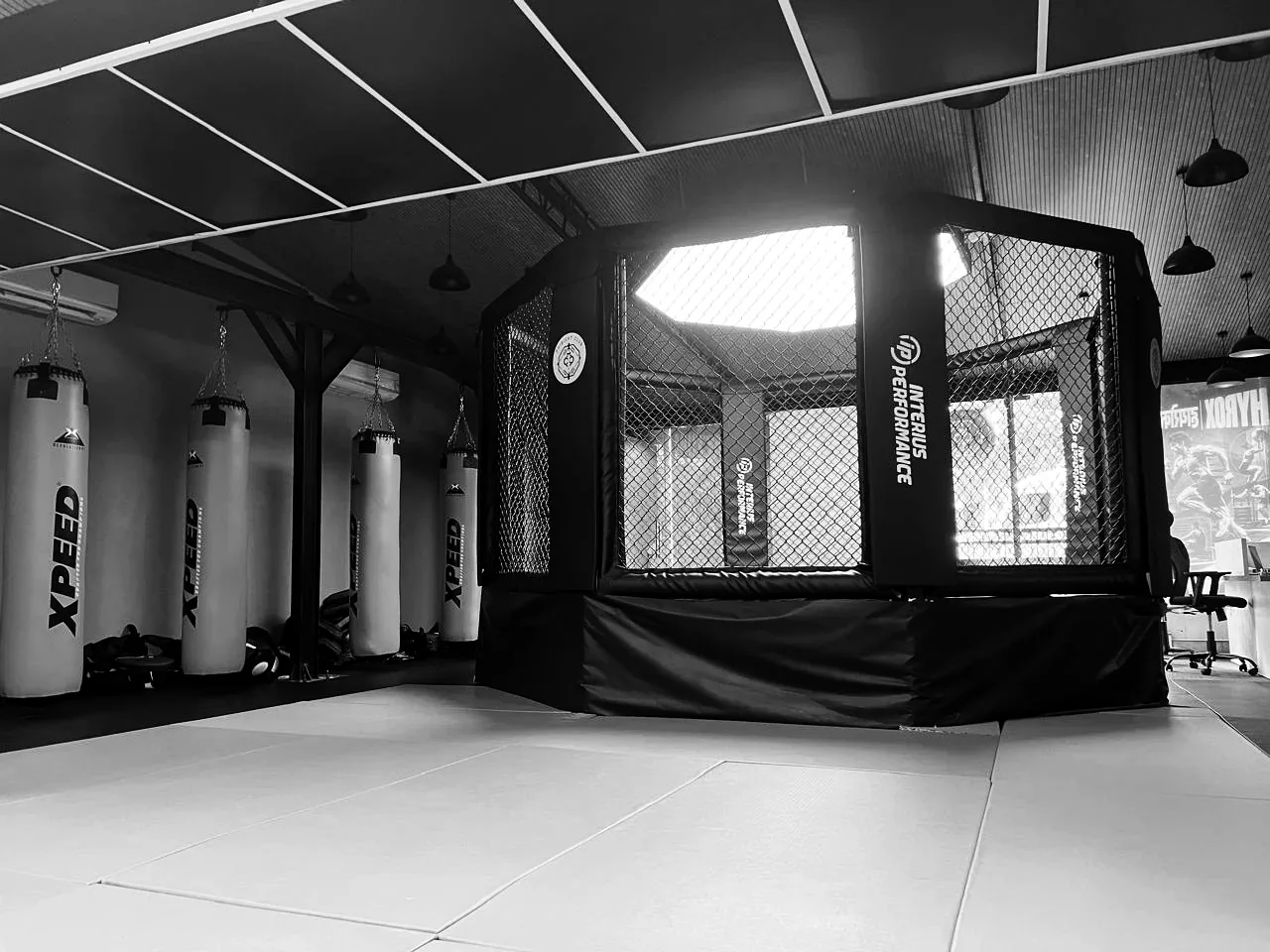 The club's eight-sided cage beside a row of heavy bags